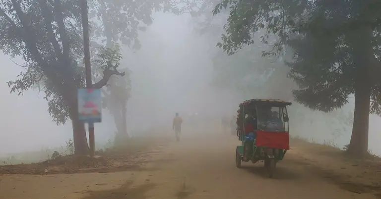 কুয়াশাচ্ছন্ন প্রকৃতি